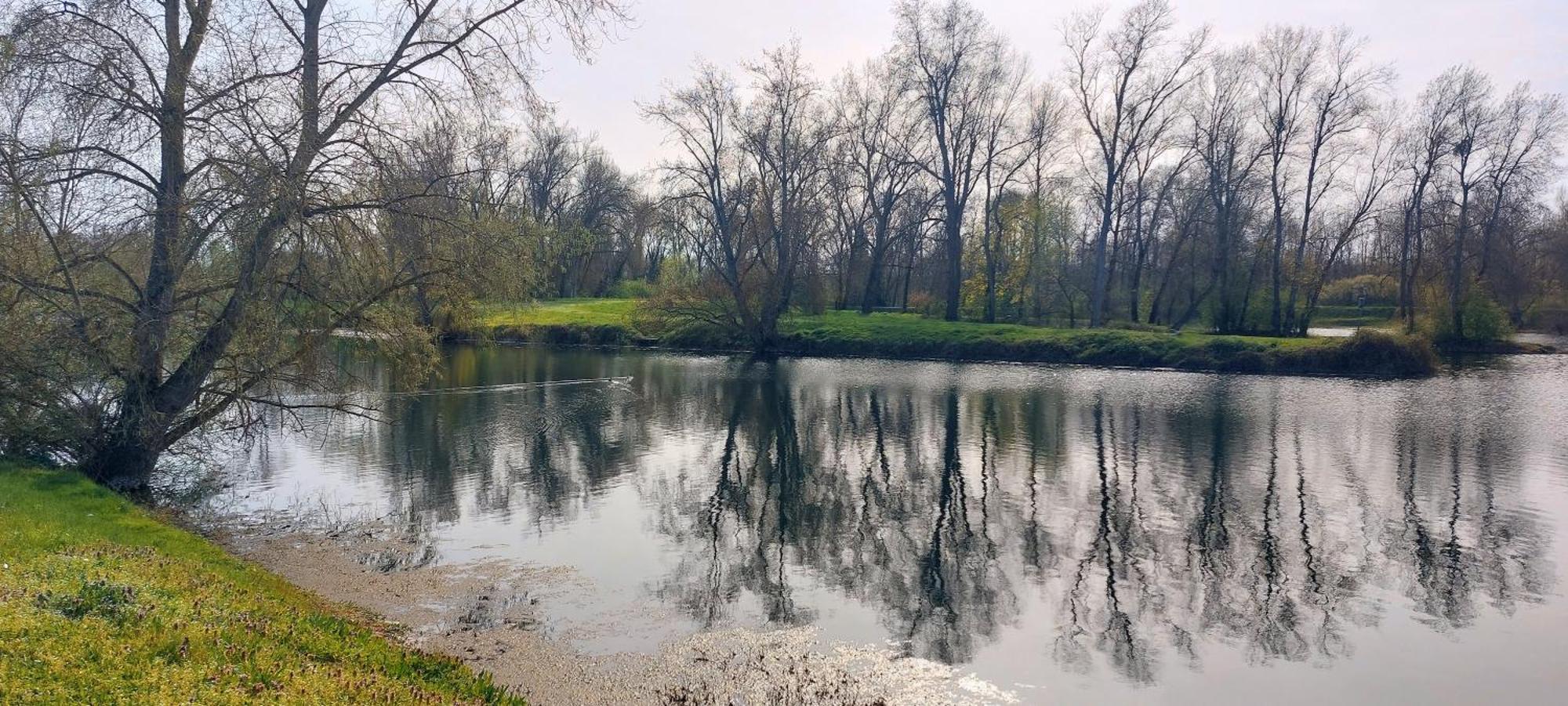 Studio Sur Les Rives D'Allier Moulins  Exterior foto